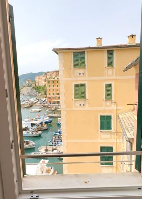 Attico Sul Porticciolo Antico Di Camogli Daire Dış mekan fotoğraf