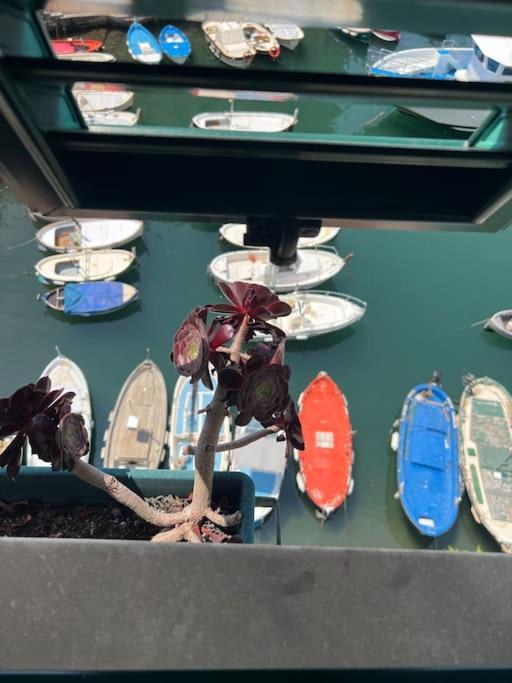Attico Sul Porticciolo Antico Di Camogli Daire Dış mekan fotoğraf