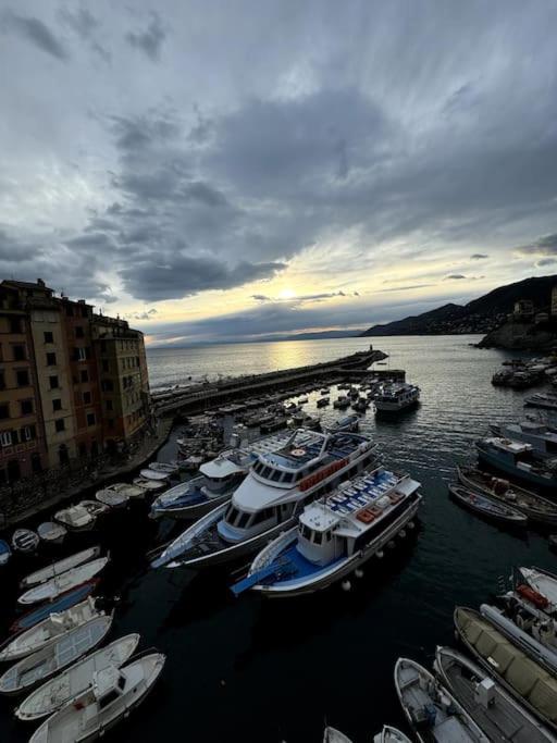 Attico Sul Porticciolo Antico Di Camogli Daire Dış mekan fotoğraf