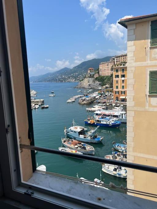 Attico Sul Porticciolo Antico Di Camogli Daire Dış mekan fotoğraf